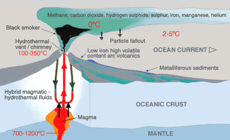 hydrothermal vent diagram