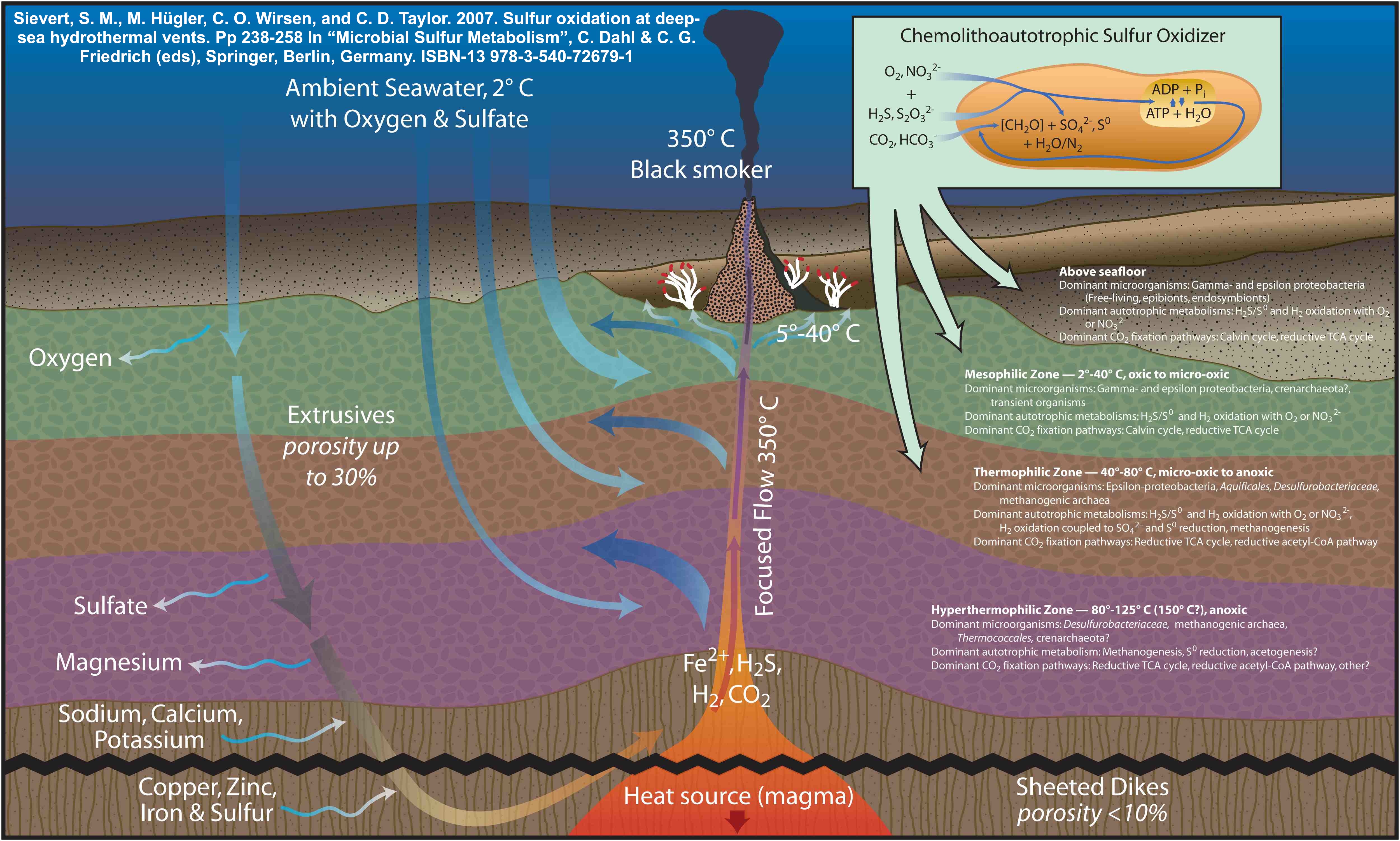 Map Of Hydrothermal Vents