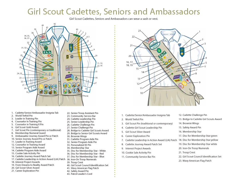 junior girl scout sash diagram