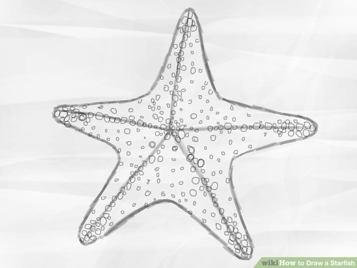labeled starfish diagram
