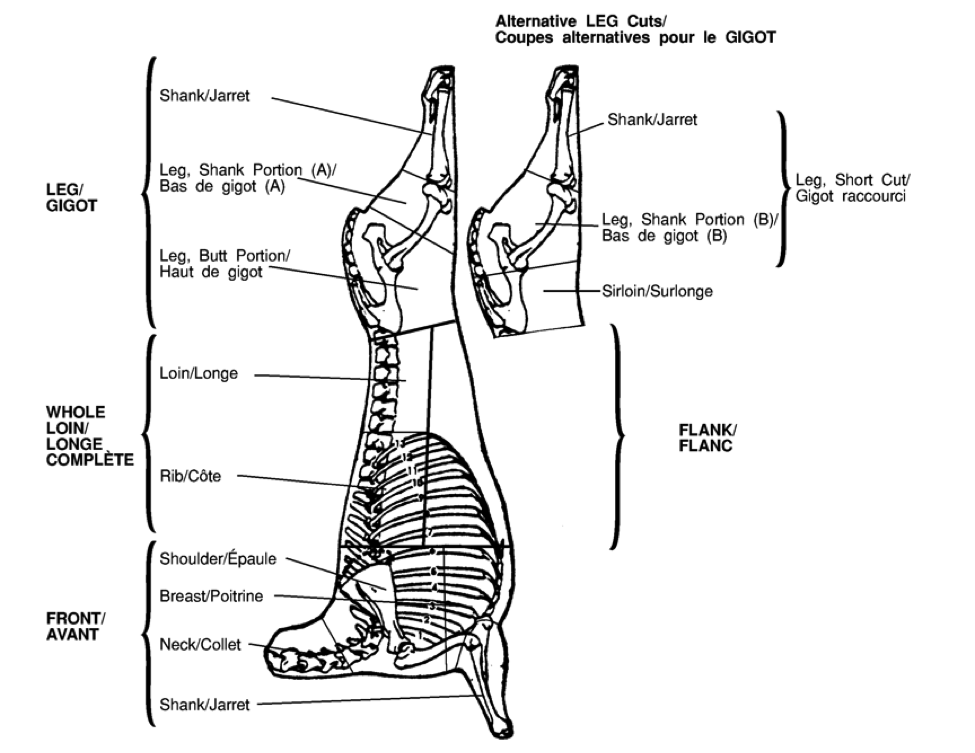 lamb shank diagram