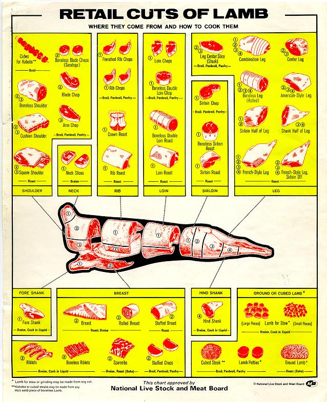 lamb shank diagram