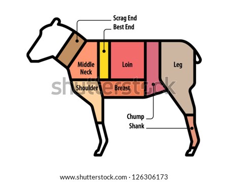 lamb shank diagram