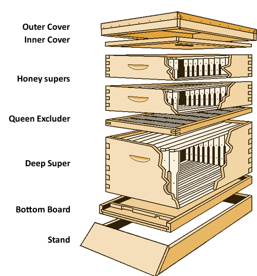 langstroth hive diagram