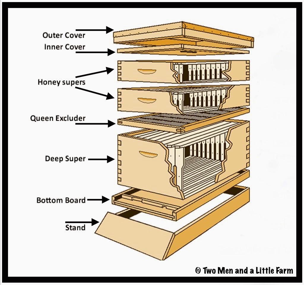 langstroth hive diagram