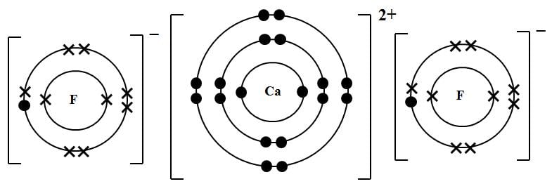 lewis dot diagram for magnesium fluoride