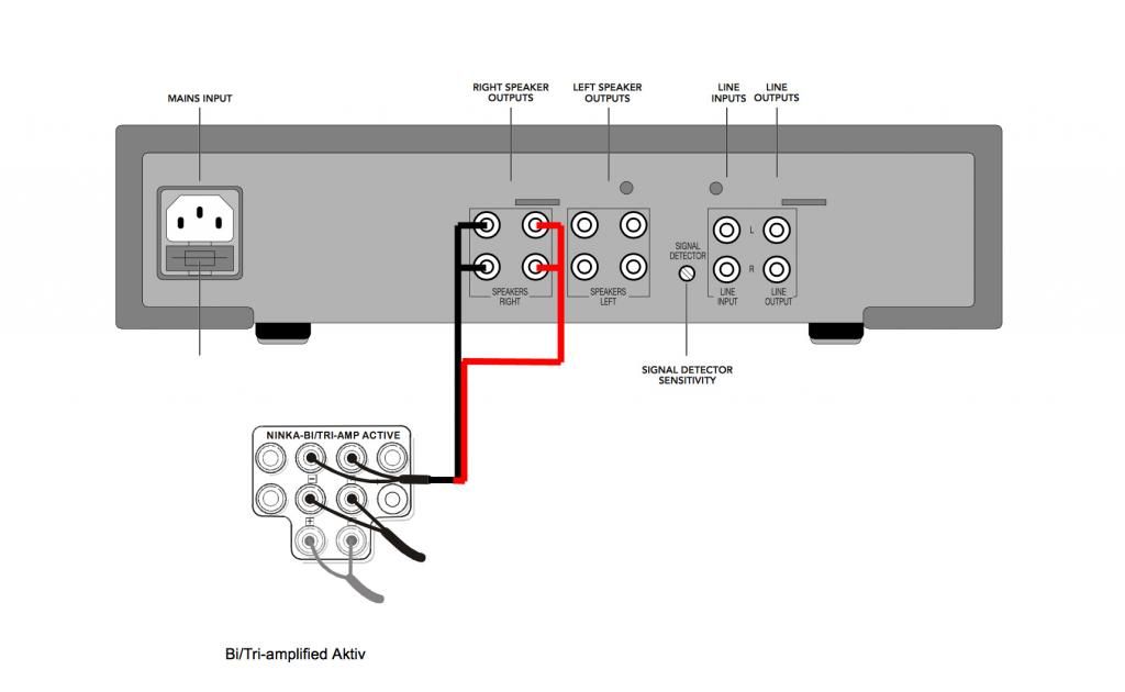 linn aktiv wiring diagram