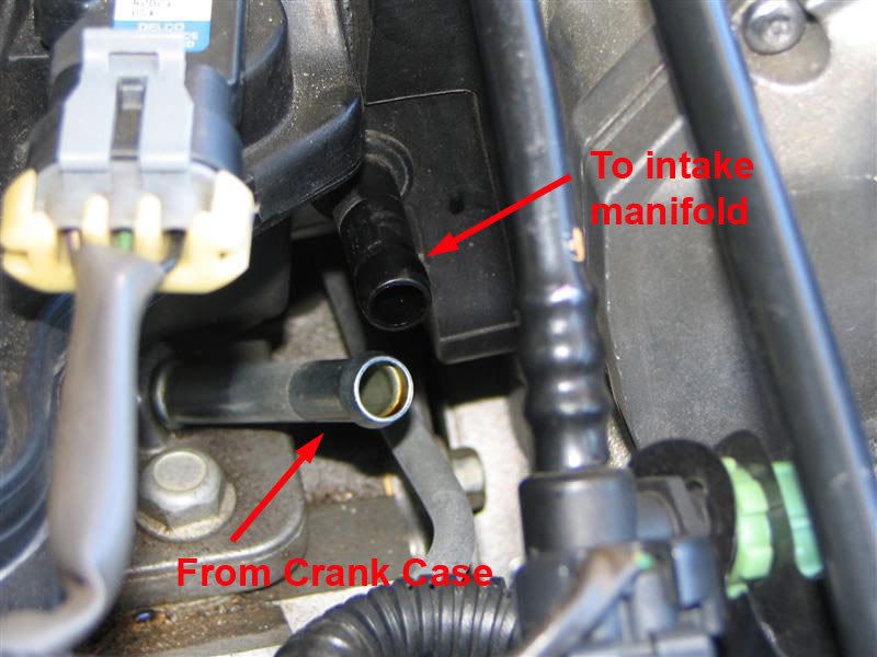 Ls1 Pcv Routing - Wiring Diagram Pictures