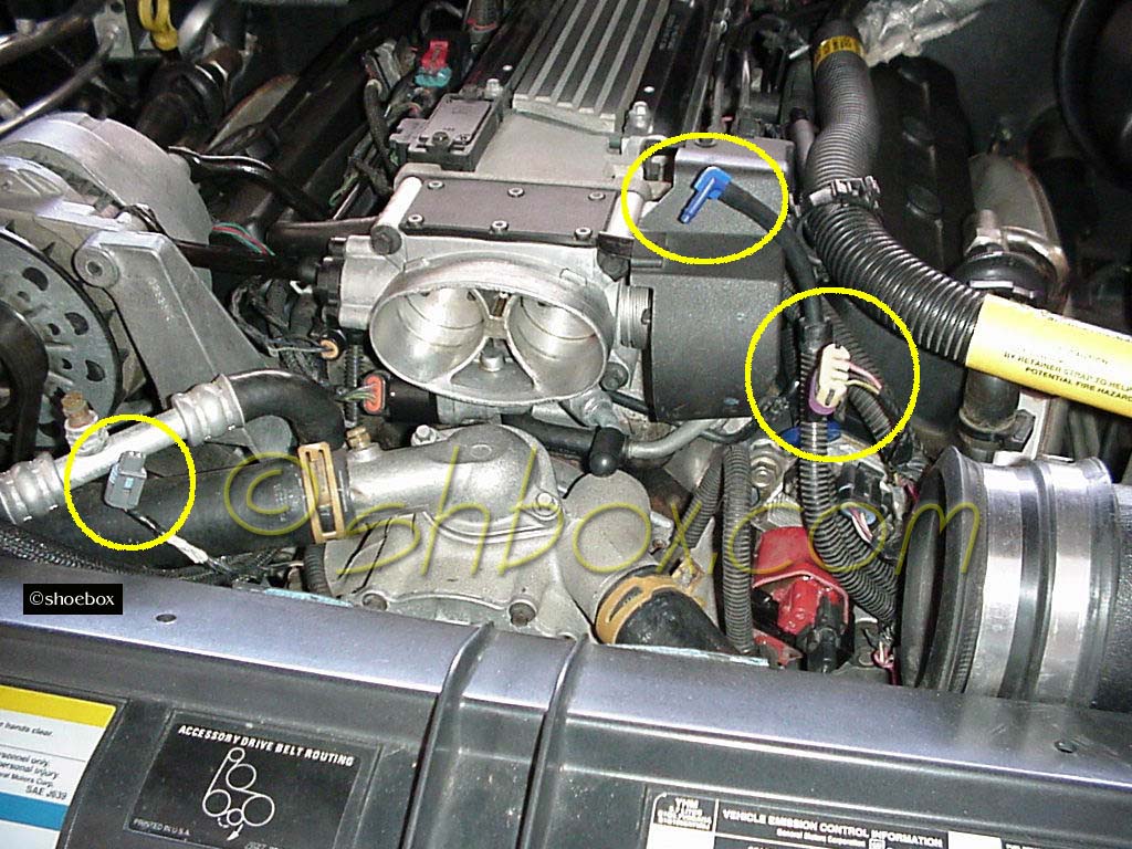 Lt1 Spark Plug Wire Routing Wiring Diagram Pictures