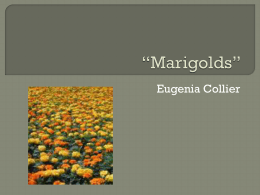 marigolds by eugenia collier plot diagram
