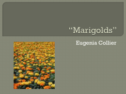 Plot Diagram For Marigolds By Eugenia Collier