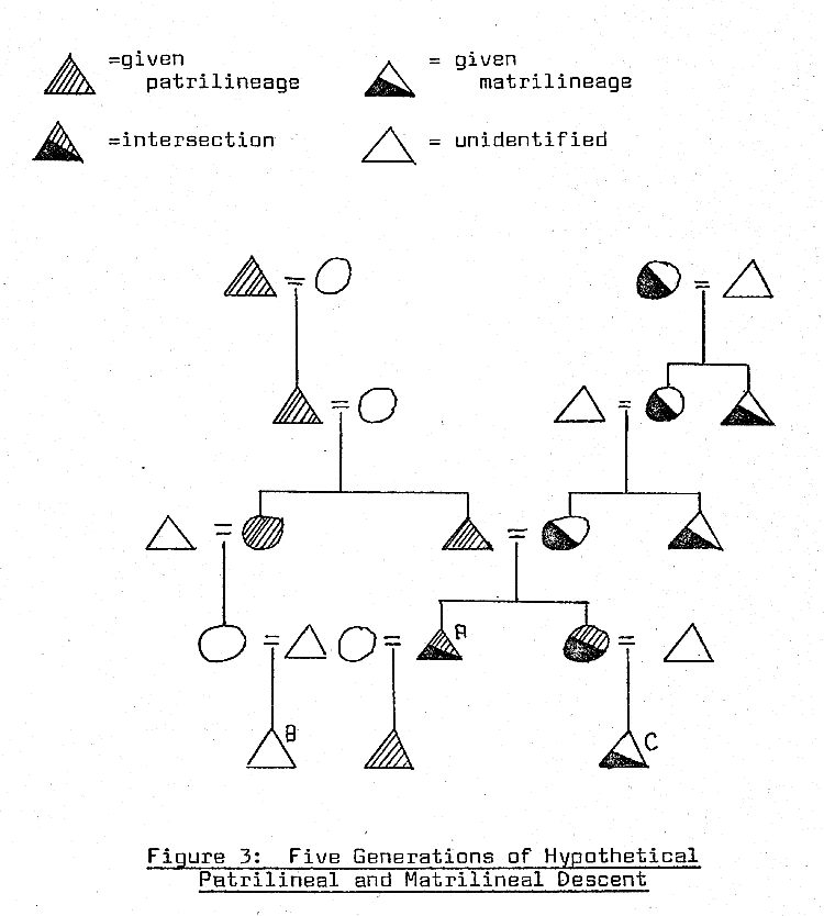 matrilineal kinship diagram