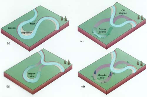 meander diagrams