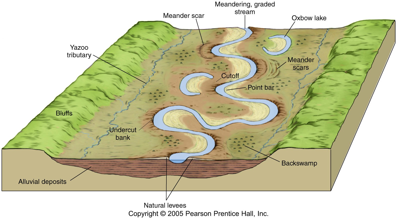 meander hill