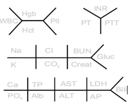 medical fishbone diagram lab values