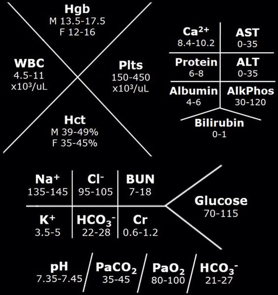 medical fishbone diagram template