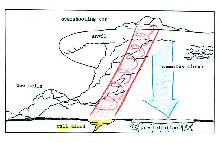 mesocyclone diagram
