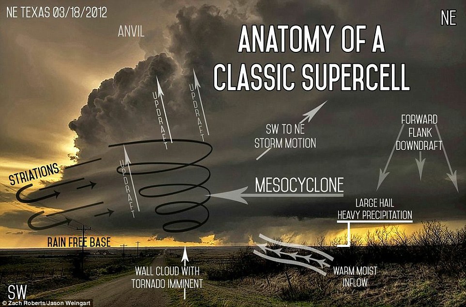 mesocyclone diagram