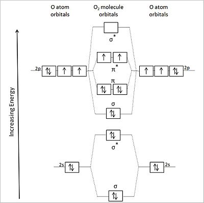 molecular orbital diagram for cl2