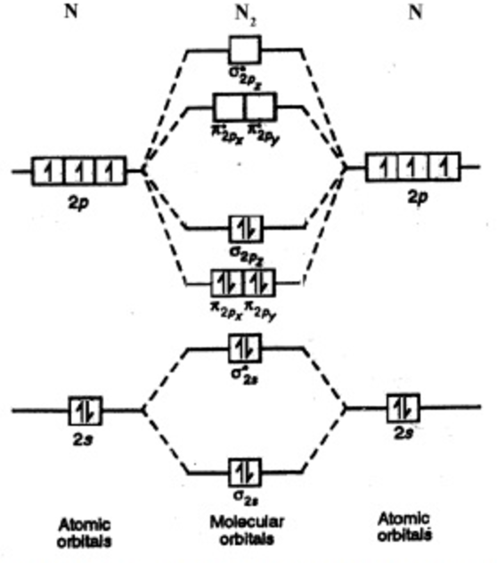 molecular orbital diagram for ne2