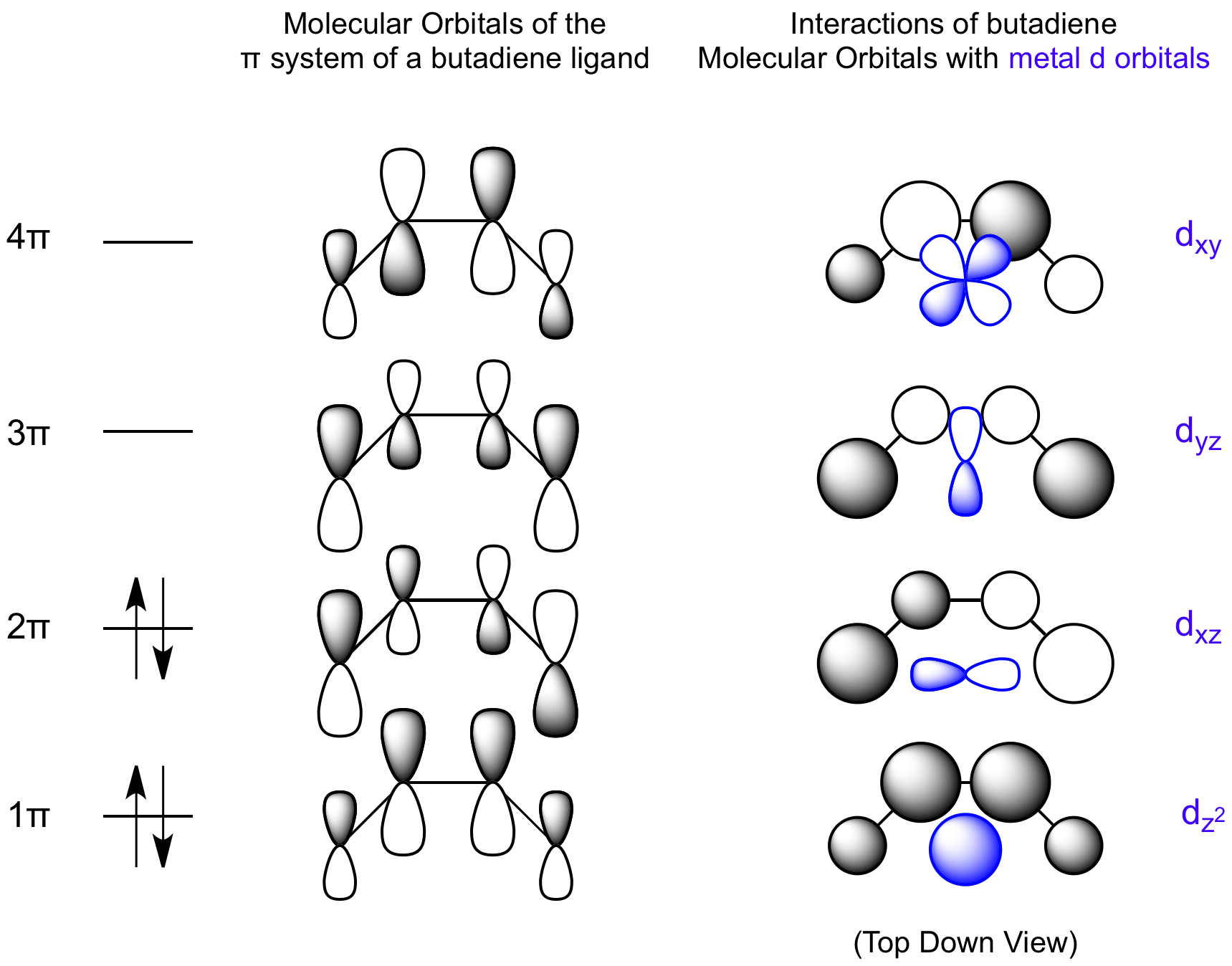 molecular orbital diagram of ethene