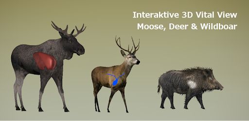 moose vitals diagram