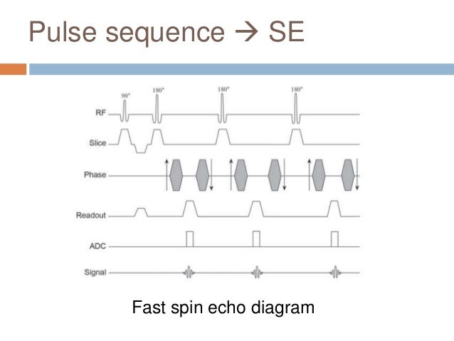 mri pulse sequence diagrams