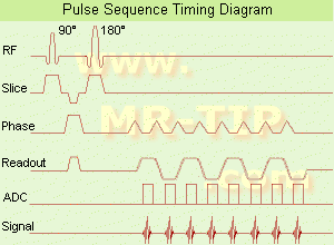 mri pulse sequence diagrams