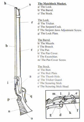 musket diagram