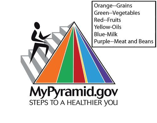 mypyramid diagram