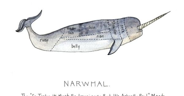 narwhal diagram