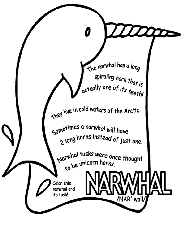 narwhal life cycle diagram