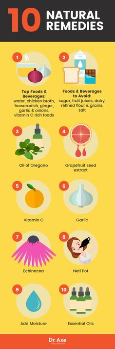 neti pot diagram of sinus