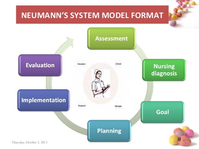 neuman systems model diagram