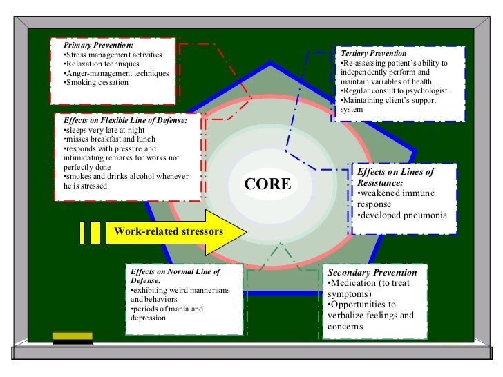 neuman systems model diagram