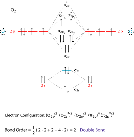 o3 molecular orbital diagram