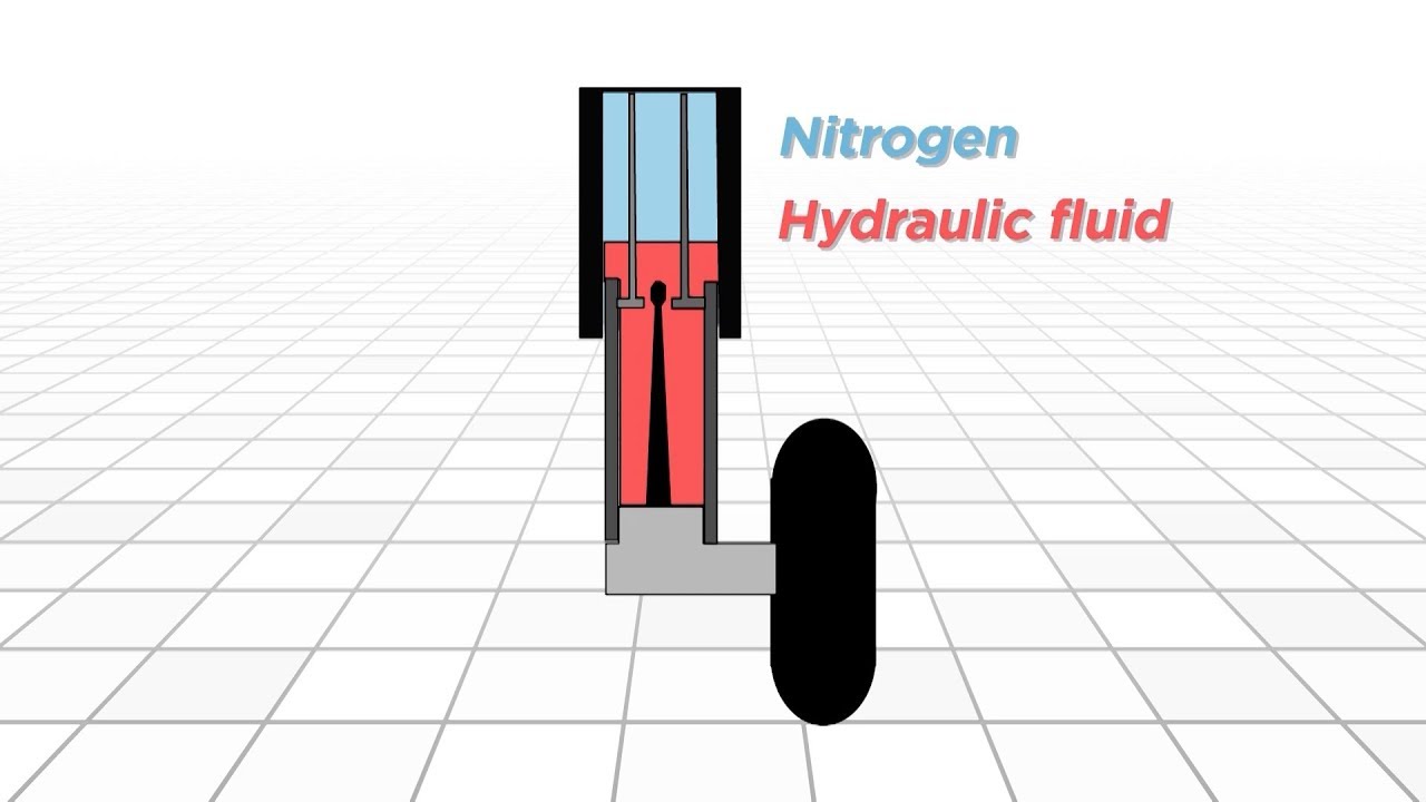 oleo strut diagram