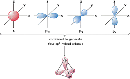 orbital diagram of carbon before sp3 hybridization