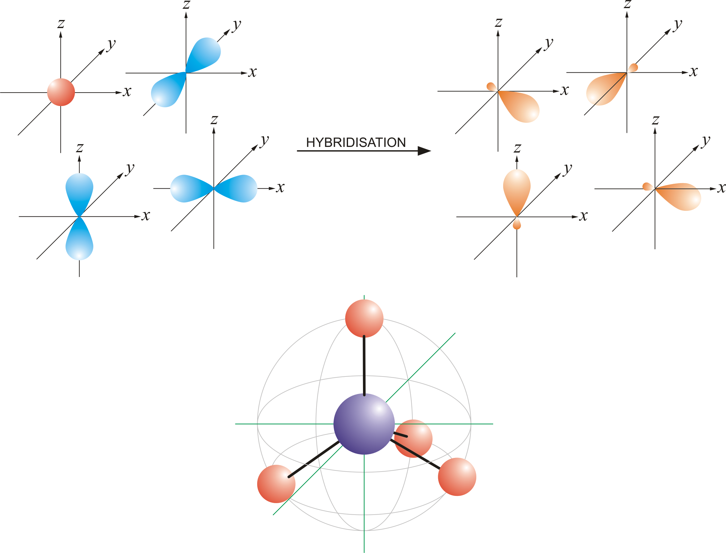 orbital diagram of carbon before sp3 hybridization