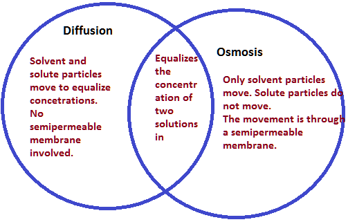 osmosis and diffusion venn diagram