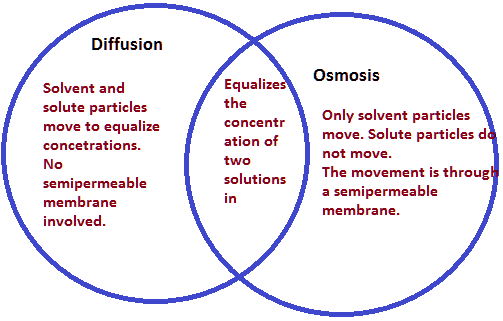 osmosis diffusion venn diagram