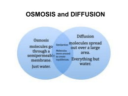 osmosis diffusion venn diagram