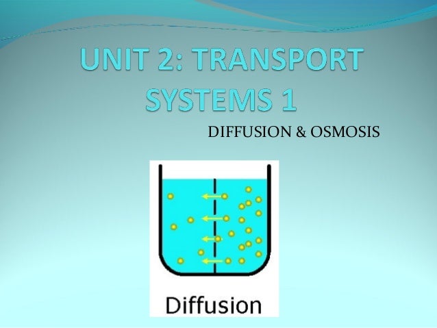 osmosis diffusion venn diagram