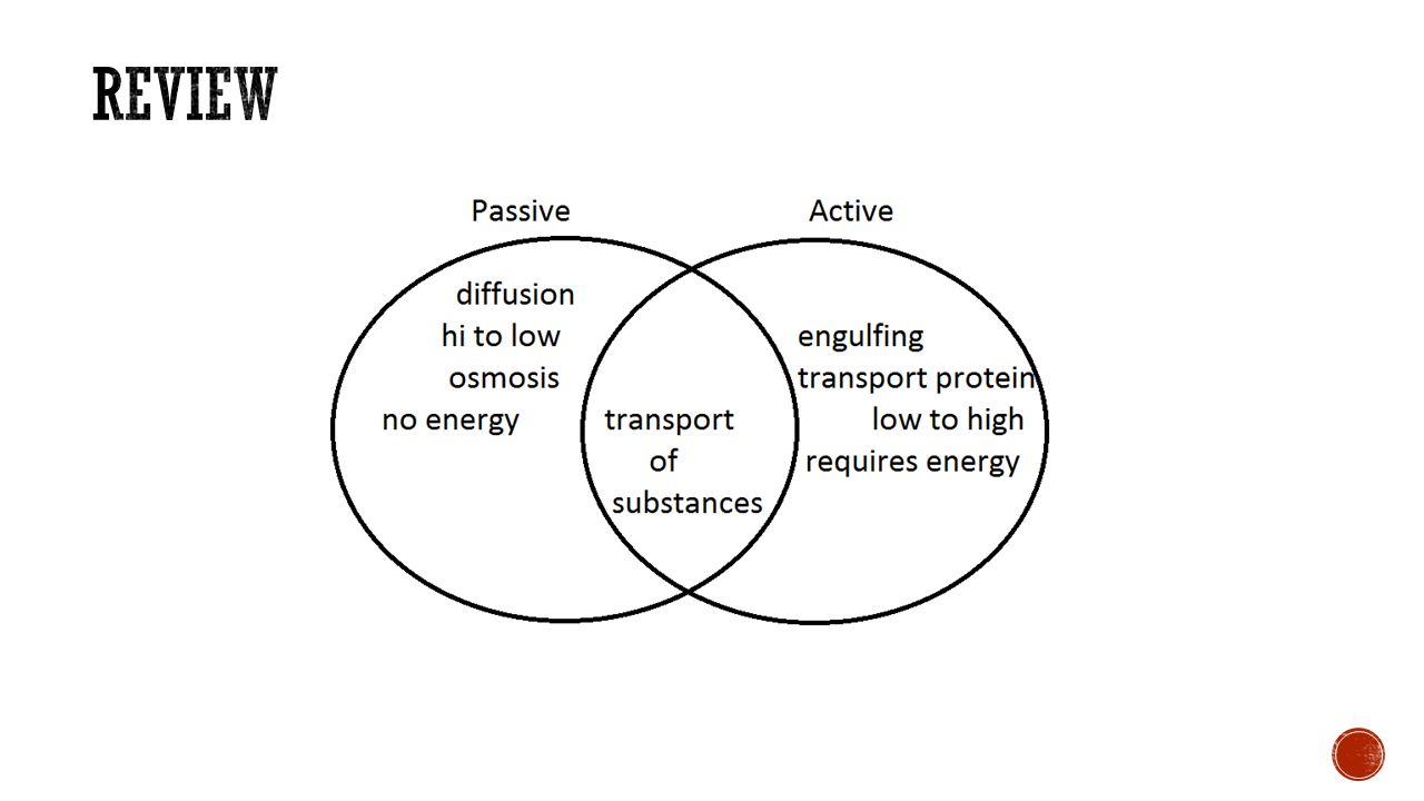 osmosis vs diffusion venn diagram