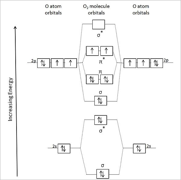 ozone molecular orbital diagram