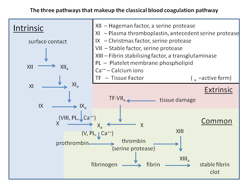 pallister wiring diagram