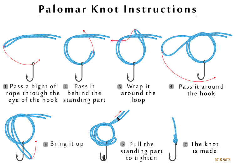 palomar knot diagram