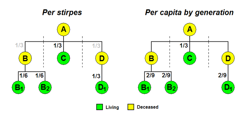 per stirpes vs per capita diagram