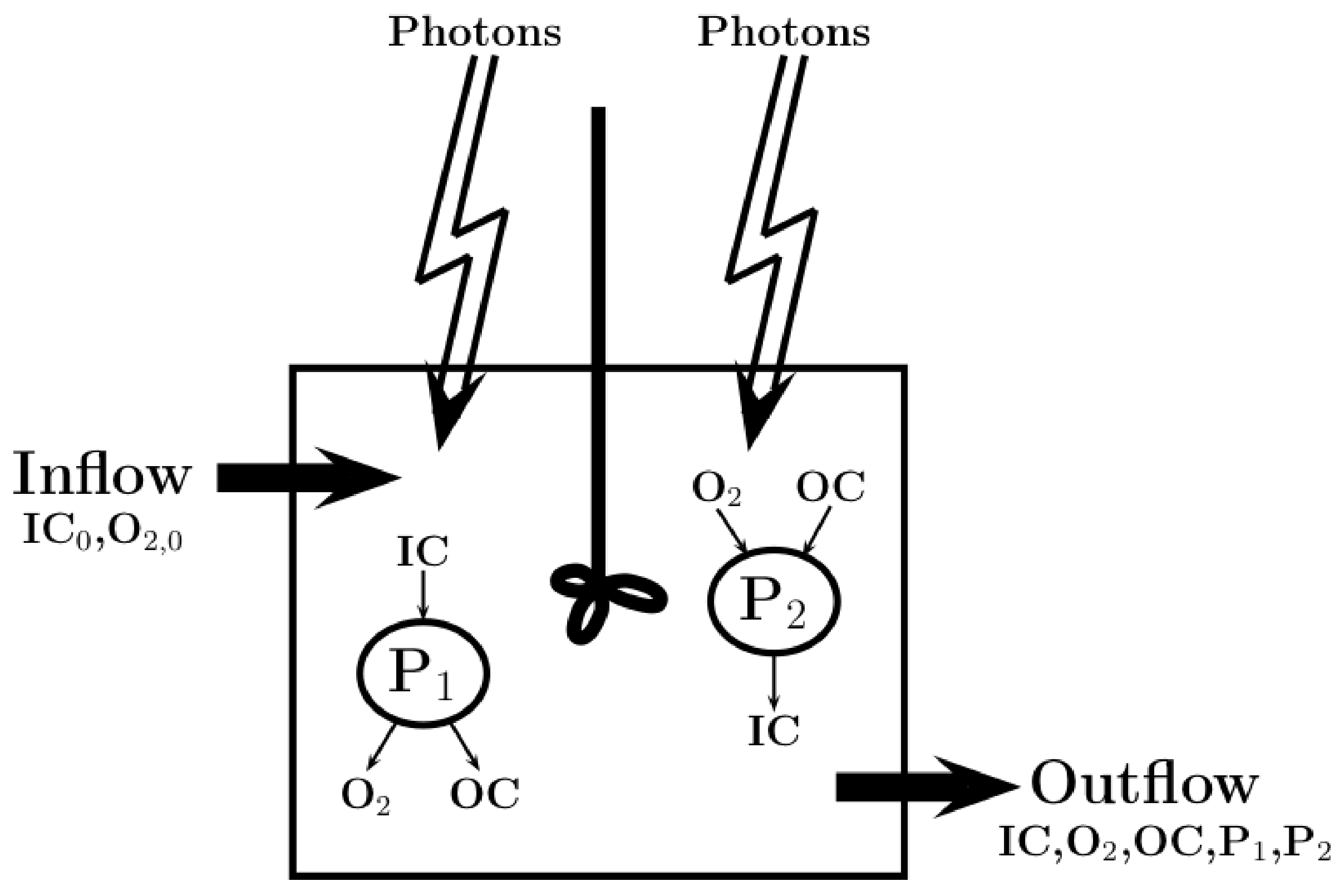 photorespiration diagram