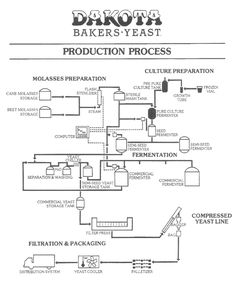 pioneer eq 6500 wiring diagram